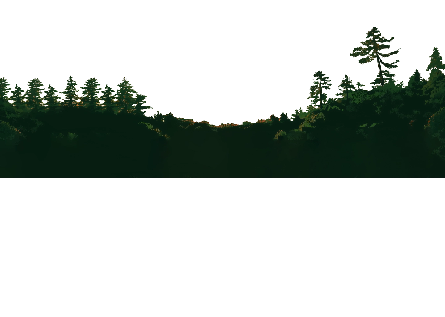 forest image